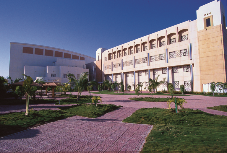 Your Guide to Dar Al Hekma’s Bachelor’s Degree in Banking and Finance